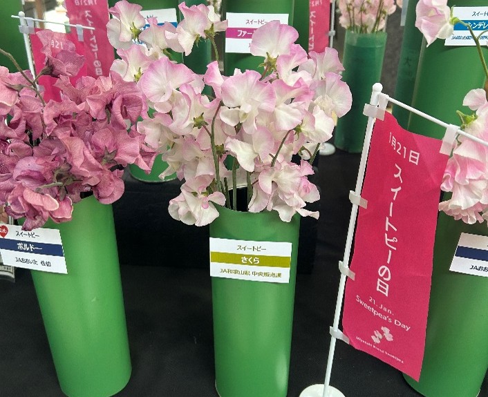 １月２１日は「○○－○○ーの日」関連の画像