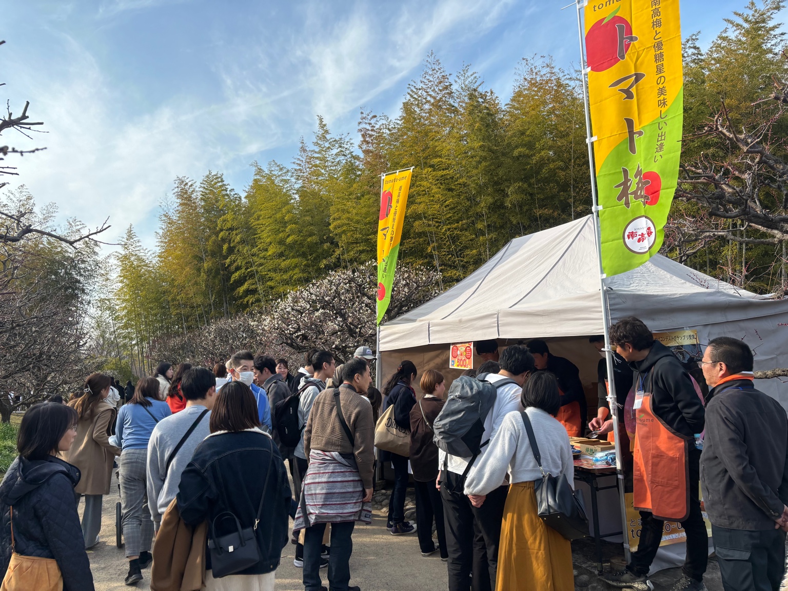梅干し食べ比べ＆販売を開催します🌸🌸関連の画像