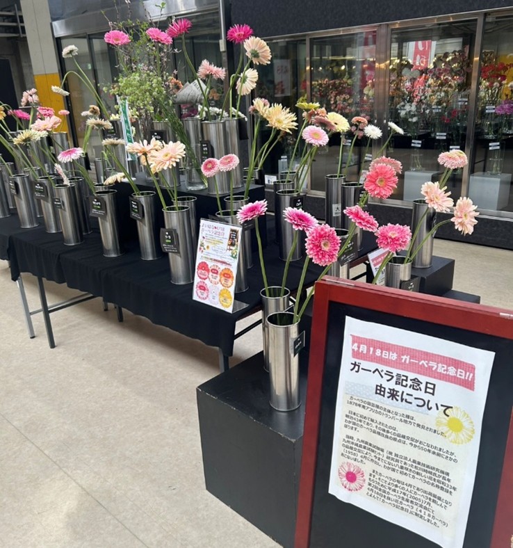 よいはな（4月18日）贈ろうガーベラ記念日関連の画像